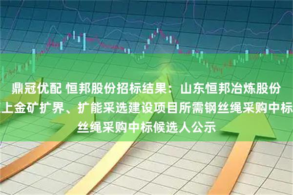 鼎冠优配 恒邦股份招标结果：山东恒邦冶炼股份有限公司辽上金矿扩界、扩能采选建设项目所需钢丝绳采购中标候选人公示