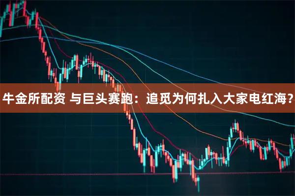 牛金所配资 与巨头赛跑：追觅为何扎入大家电红海？